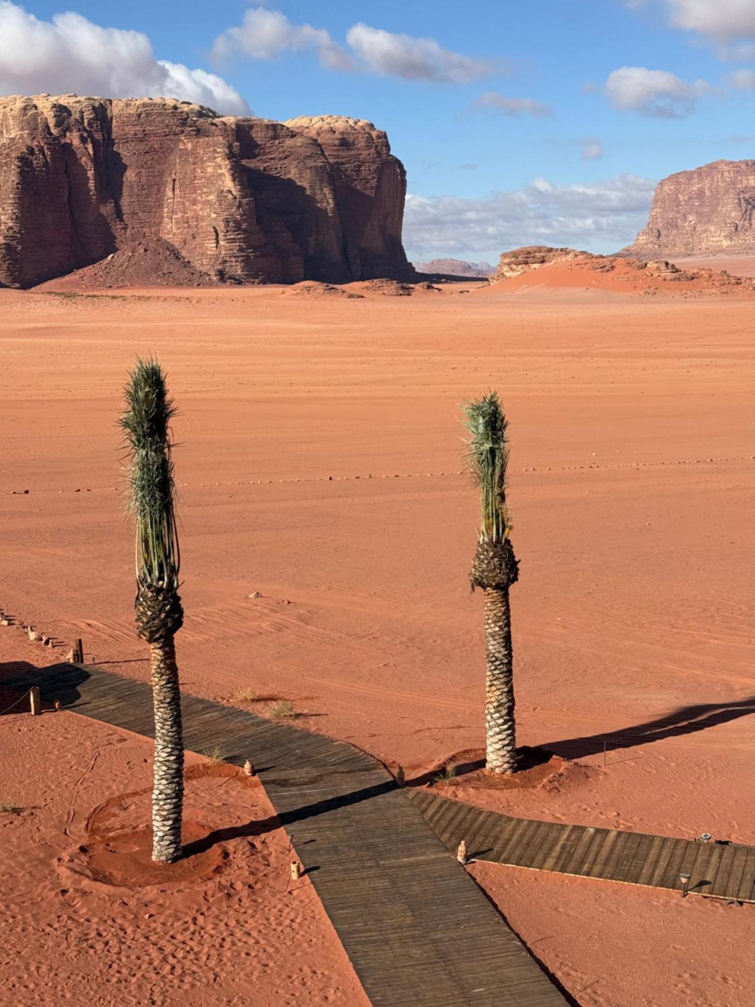 Wadi Rum Bedouin Camp Exterior photo